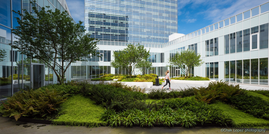 De daktuin van AP Hogeschool De daktuin van AP Hogeschool